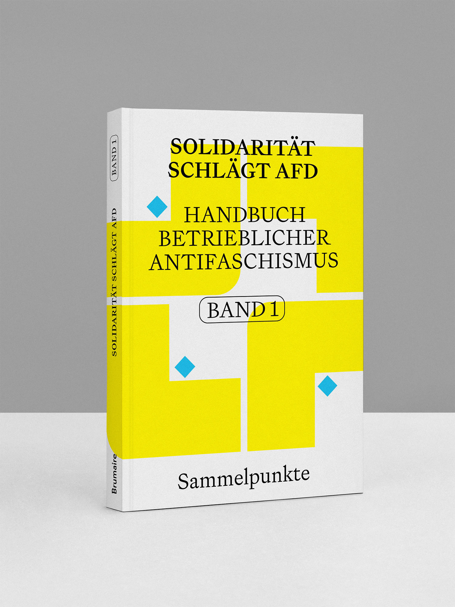 Band 1 – Solidarität schlägt AfD